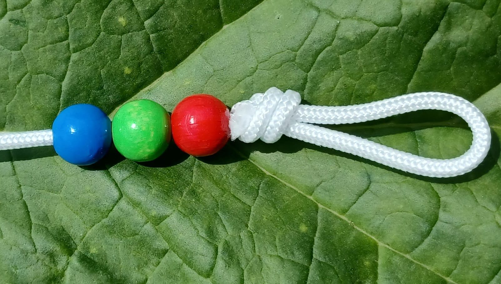 Brockschnur für Ihr Sehtraining