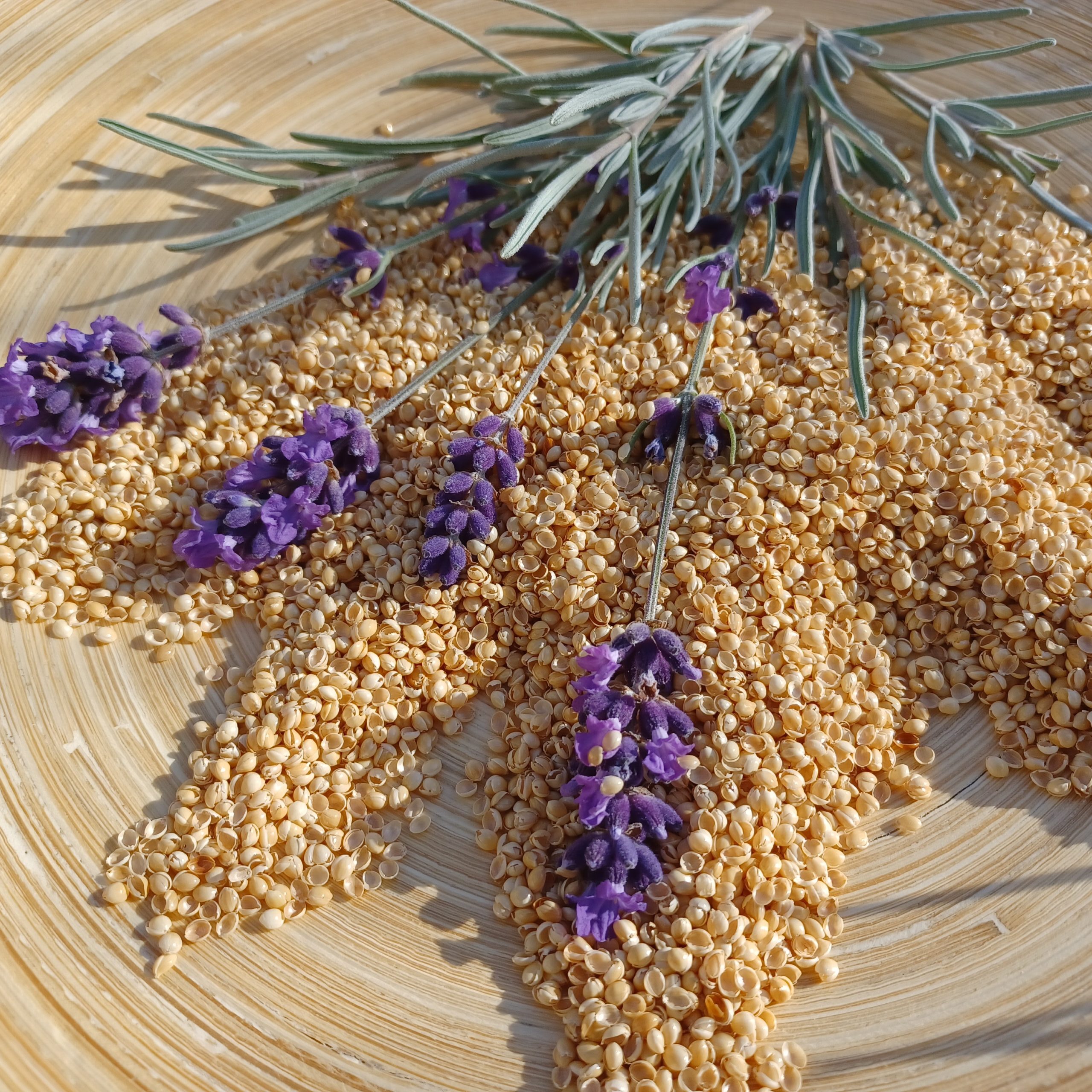 Ein halber Stern aus staubfreien Hirseschalen mit 4 Lavendelzweigen ist zu sehen.