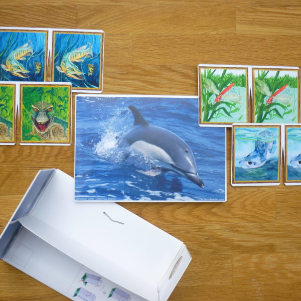 Cuc Cuc Karte - Delphin - mit 4 weiteren Reiterkarten