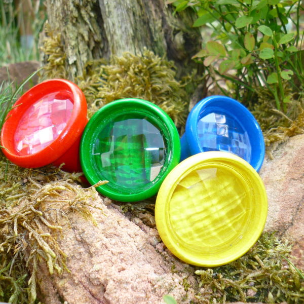 4 Facettenaugen liegen auf einem Stein.