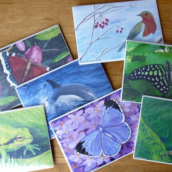 3D Karte CUC-CUC-CARD